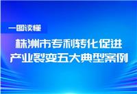 株洲市專利轉化促進產業裂變五大典型案例